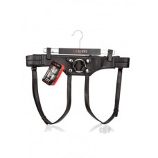 Her Royal Harness The Empress