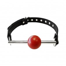 Rouge Leather Ball Gag With Stainless Steel Rod And Removable Ball - Black With Red