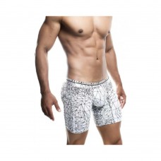 Male Basics Spider Hipster Boxer Brief White/black Sm
