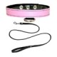 Collars & Leashes